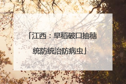 江西：早稻破口抽穗 统防统治防病虫