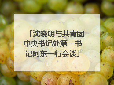 沈晓明与共青团中央书记处第一书记阿东一行会谈