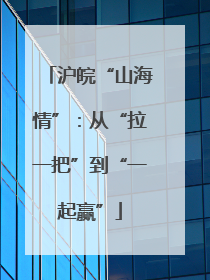 沪皖“山海情”：从“拉一把”到“一起赢”