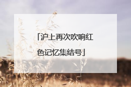 沪上再次吹响红色记忆集结号