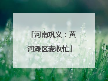 河南巩义：黄河滩区麦收忙