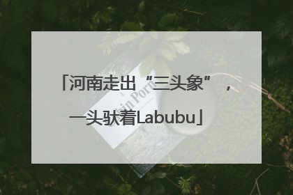 河南走出“三头象”，一头驮着Labubu