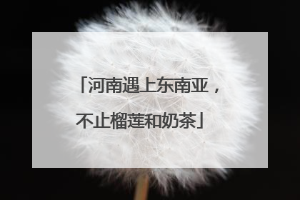 河南遇上东南亚，不止榴莲和奶茶