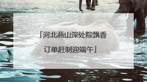 河北燕山深处粽飘香 订单赶制迎端午