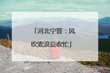 河北宁晋：风吹麦浪夏收忙
