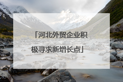 河北外贸企业积极寻求新增长点