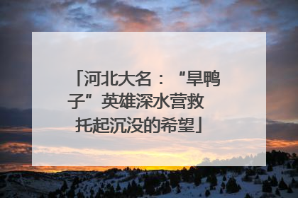 河北大名：“旱鸭子”英雄深水营救 托起沉没的希望