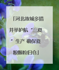 河北故城多措并举护航“三夏”生产 确保夏粮颗粒归仓