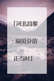 河北昌黎：扇贝分苗正当时