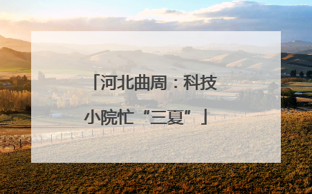 河北曲周：科技小院忙“三夏”