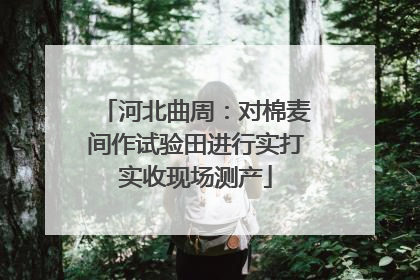 河北曲周：对棉麦间作试验田进行实打实收现场测产