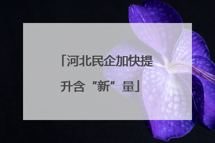 河北民企加快提升含“新”量