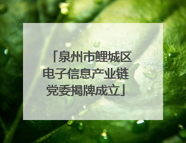泉州市鲤城区电子信息产业链党委揭牌成立
