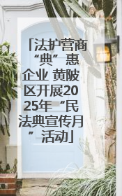 法护营商 “典”惠企业 黄陂区开展2025年“民法典宣传月”活动