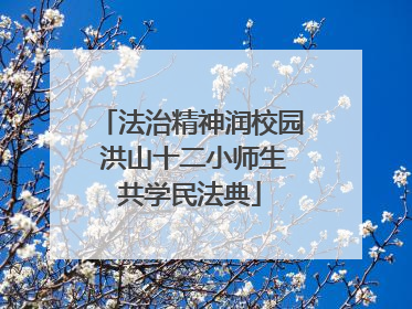 法治精神润校园 洪山十二小师生共学民法典