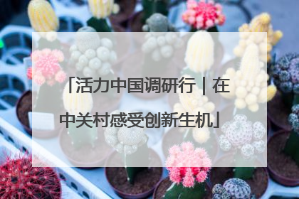 活力中国调研行｜在中关村感受创新生机