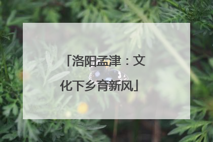 洛阳孟津：文化下乡育新风