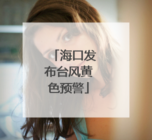 海口发布台风黄色预警