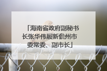 海南省政府副秘书长张华伟履新儋州市委常委、副市长