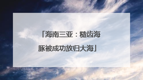 海南三亚：糙齿海豚被成功放归大海