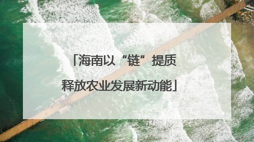 海南以“链”提质 释放农业发展新动能