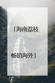 海南荔枝畅销海外