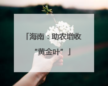 海南：助农增收 “黄金叶”