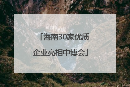 海南30家优质企业亮相中博会