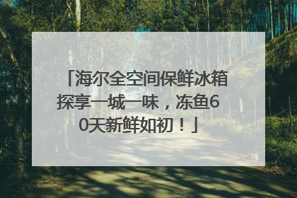 海尔全空间保鲜冰箱探享一城一味，冻鱼60天新鲜如初！