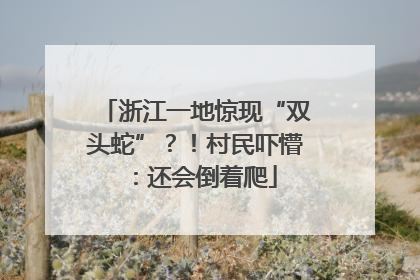 浙江一地惊现“双头蛇”？！村民吓懵：还会倒着爬
