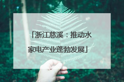 浙江慈溪：推动水家电产业蓬勃发展