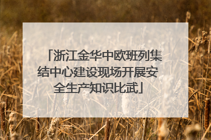 浙江金华中欧班列集结中心建设现场开展安全生产知识比武