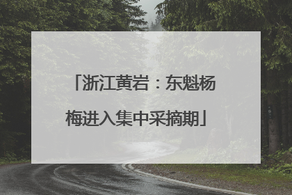 浙江黄岩：东魁杨梅进入集中采摘期
