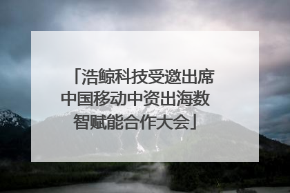 浩鲸科技受邀出席中国移动中资出海数智赋能合作大会