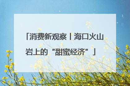 消费新观察丨海口火山岩上的“甜蜜经济”