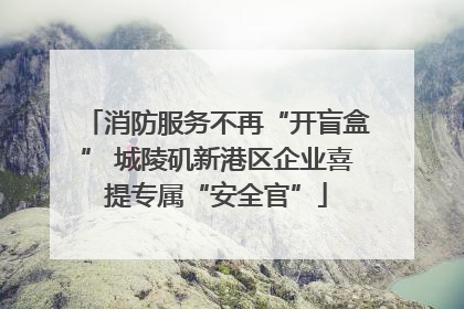 消防服务不再“开盲盒” 城陵矶新港区企业喜提专属“安全官”