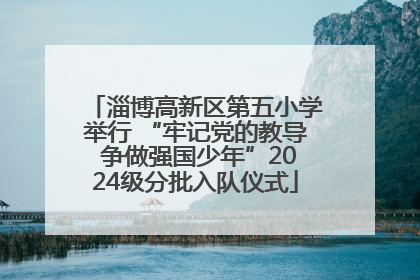 淄博高新区第五小学举行 “牢记党的教导 争做强国少年”2024级分批入队仪式