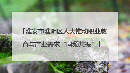 淮安市淮阴区人大推动职业教育与产业需求“同频共振”