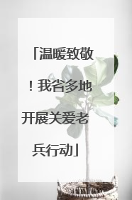 温暖致敬！我省多地开展关爱老兵行动