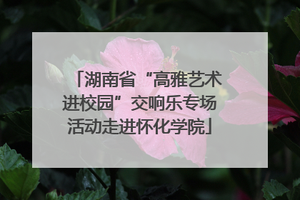 湖南省“高雅艺术进校园”交响乐专场活动走进怀化学院