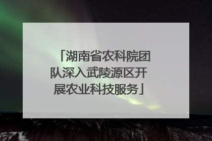 湖南省农科院团队深入武陵源区开展农业科技服务