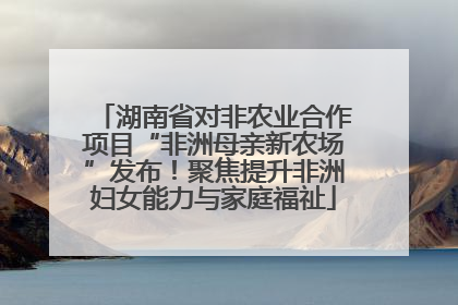 湖南省对非农业合作项目“非洲母亲新农场”发布！聚焦提升非洲妇女能力与家庭福祉
