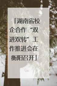 湖南省校企合作“双进双转”工作推进会在衡阳召开