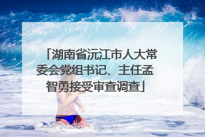 湖南省沅江市人大常委会党组书记、主任孟智勇接受审查调查