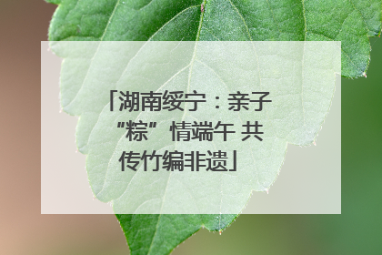 湖南绥宁：亲子“粽”情端午 共传竹编非遗