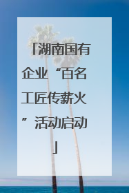 湖南国有企业“百名工匠传薪火”活动启动