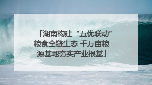 湖南构建“五优联动”粮食全链生态 千万亩粮源基地夯实产业根基