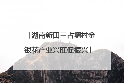 湖南新田三占塘村金银花产业兴旺促振兴