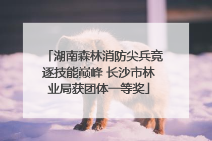 湖南森林消防尖兵竞逐技能巅峰 长沙市林业局获团体一等奖