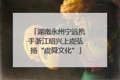 湖南永州宁远携手浙江绍兴上虞弘扬“虞舜文化”